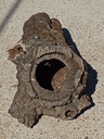 TRONCO HUECO DE BORNIZO 3