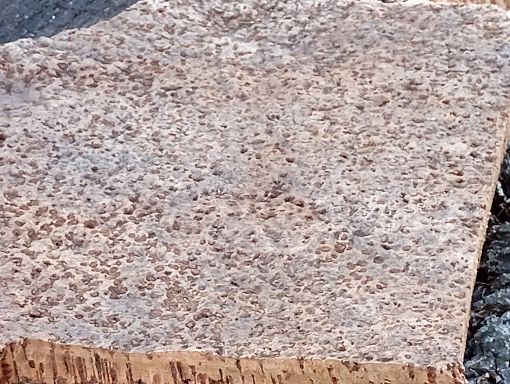 Laminas de corcho cocido