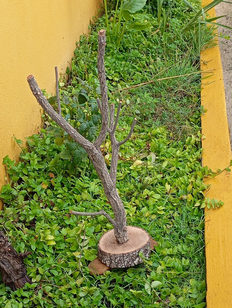 ARBOL CON BASE